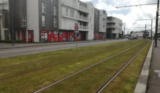  BUREAUX  388 m² BREST