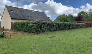 Terrain 2406m²