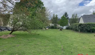 Terrain 2406m²
