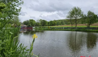 Terrain 3217m²