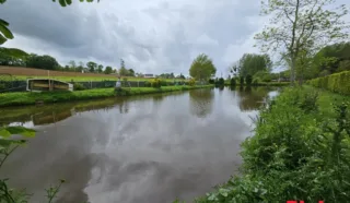 Terrain 3217m²