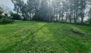 Terrain 407m²