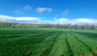 Terrain 584m²