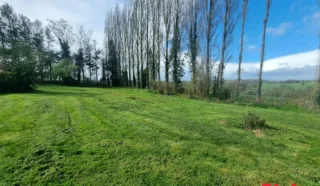 Terrain 584m²