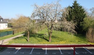 Appartement 2 pièce(s)