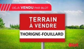 Terrain 295m²