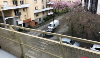 Appartement 1 pièce(s)