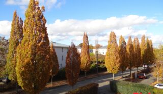 Appartement 2 pièce(s)