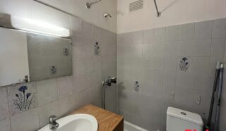 Appartement 1 pièce(s)