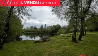 Terrain 11359m²