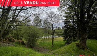 Terrain 11359m²