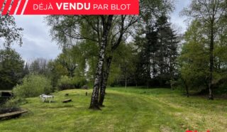 Terrain 11359m²