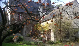 Maison 8 pièce(s)