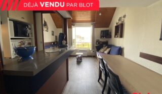 Appartement 4 pièce(s)