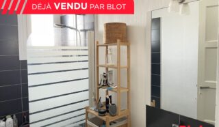 Maison 7 pièce(s)