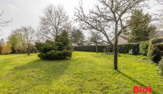 Terrain 493m²