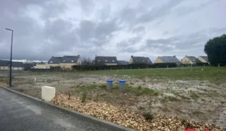 Terrain 317m²
