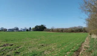  TERRAIN 25 260 m² ALLAIRE