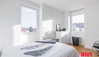 Immeuble 12 pièce(s)