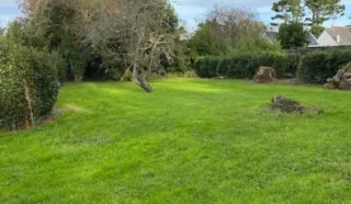 Terrain 1510m²