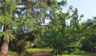 Maison 8 pièce(s)