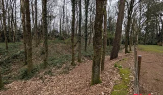Terrain 8922m²