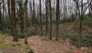 Terrain 8922m²