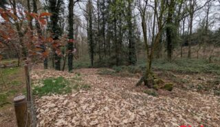 Terrain 8922m²