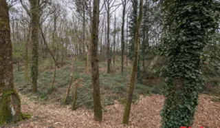 Terrain 8922m²