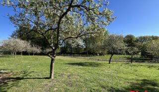 Terrain 1678m²
