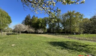 Terrain 1678m²