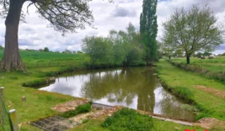 Terrain 3665m²
