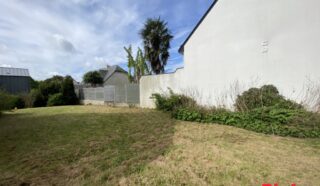 Terrain 297m²