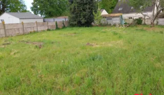 Terrain 559m²