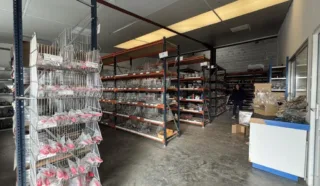  LOCAUX D'ACTIVITÉS 205 M² BOUGUENAIS