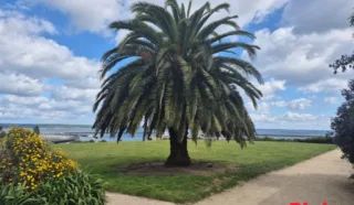 Appartement 3 pièce(s)