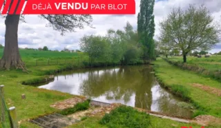 Terrain 3665m²