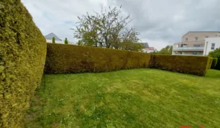 Terrain 522m²