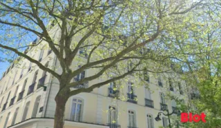 Appartement 3 pièce(s)
