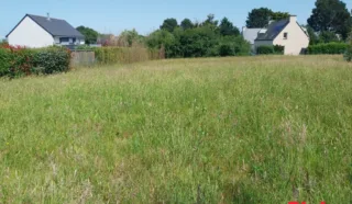Terrain 601m²