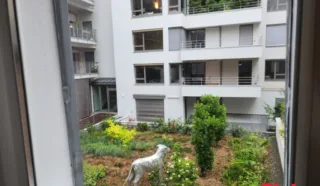 Appartement 1 pièce(s)
