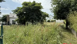 Terrain 247m²