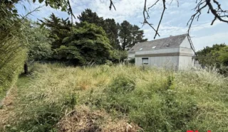 Terrain 247m²