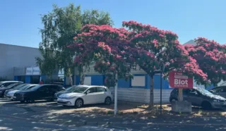  BUREAUX 311 M² SAINT HERBLAIN
