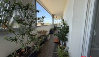 Appartement 4 pièce(s)
