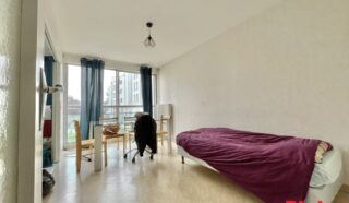 Appartement 1 pièce(s)