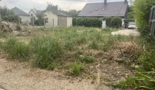Terrain 185m²