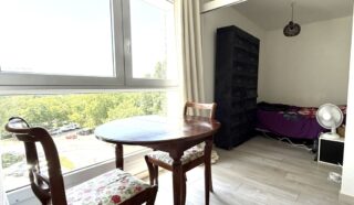 Appartement 1 pièce(s)