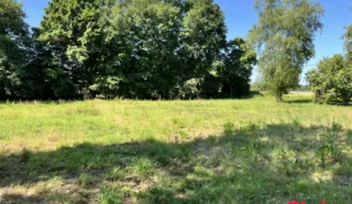 Terrain 547m²