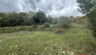 Terrain 4800m²